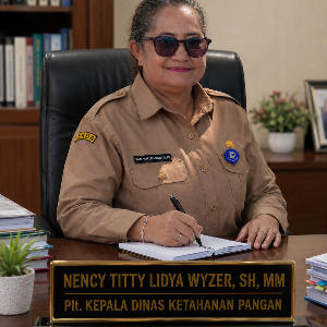 NENCY T. L. WYZER, SH, MH